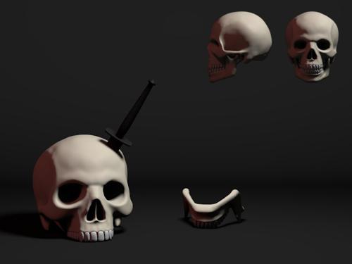 Human Male Skull preview image
